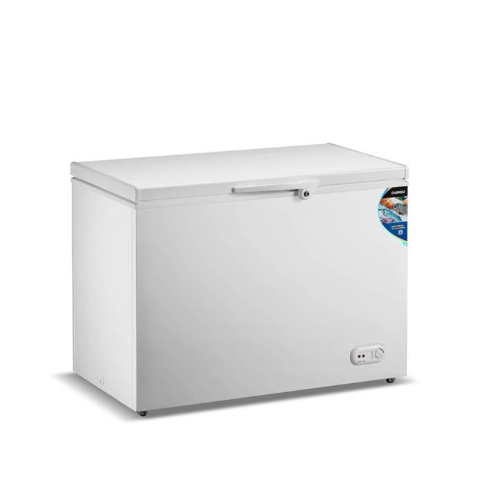 Морозильная камера Changer BD(W)-327C